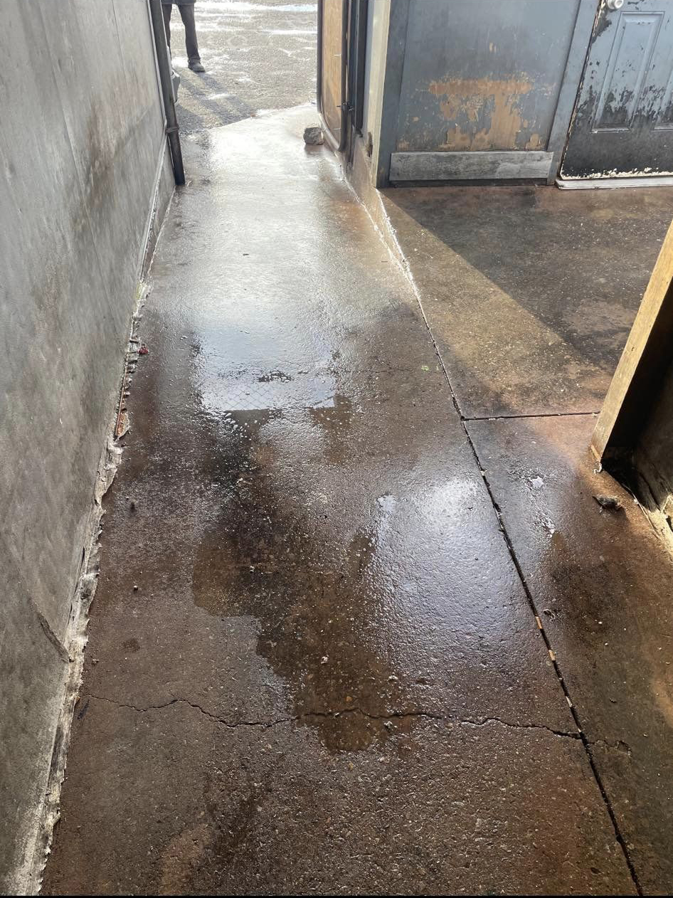 301049195_119261047534018_5649178360718312619_n