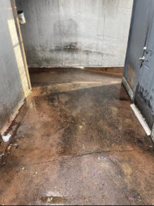 301057003_119261040867352_7006562126475576297_n