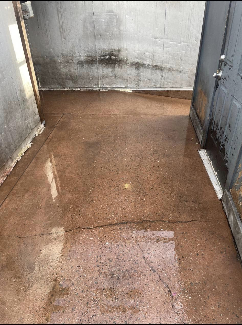 301300702_119261070867349_4194686645844853116_n