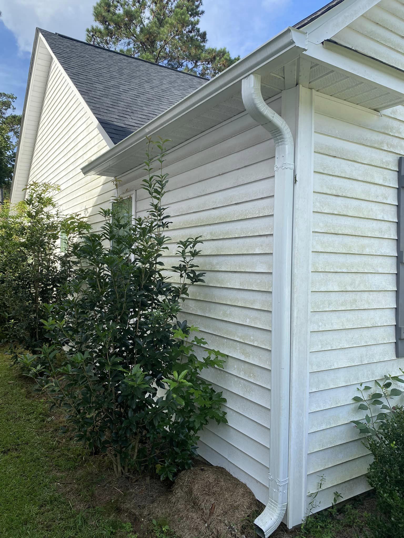 305212994_122235557236567_1266719635793073361_n